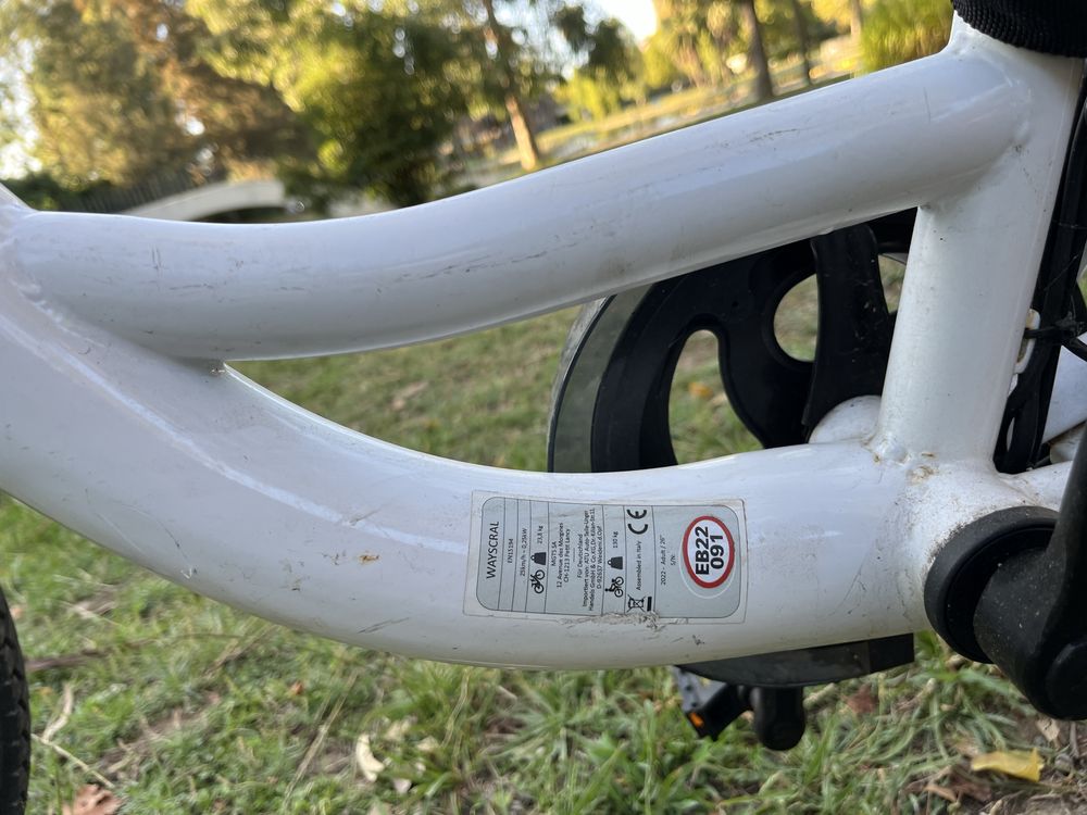Bicicleta Elétrica Everyway E100 – Pouco Uso, Como Nova!