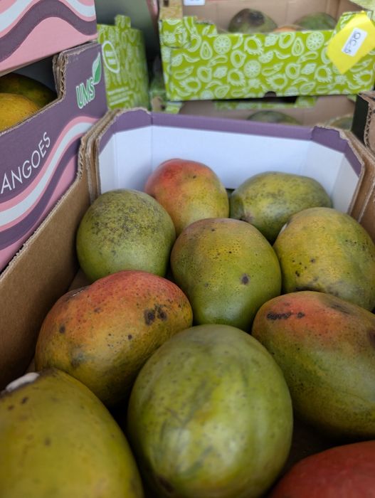 Oddam pokarm dla zwierząt