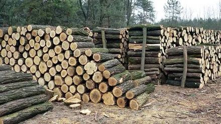 Продам дрова колотые, кругляк