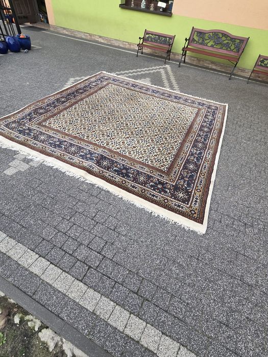 Dywan wełniany  250/250