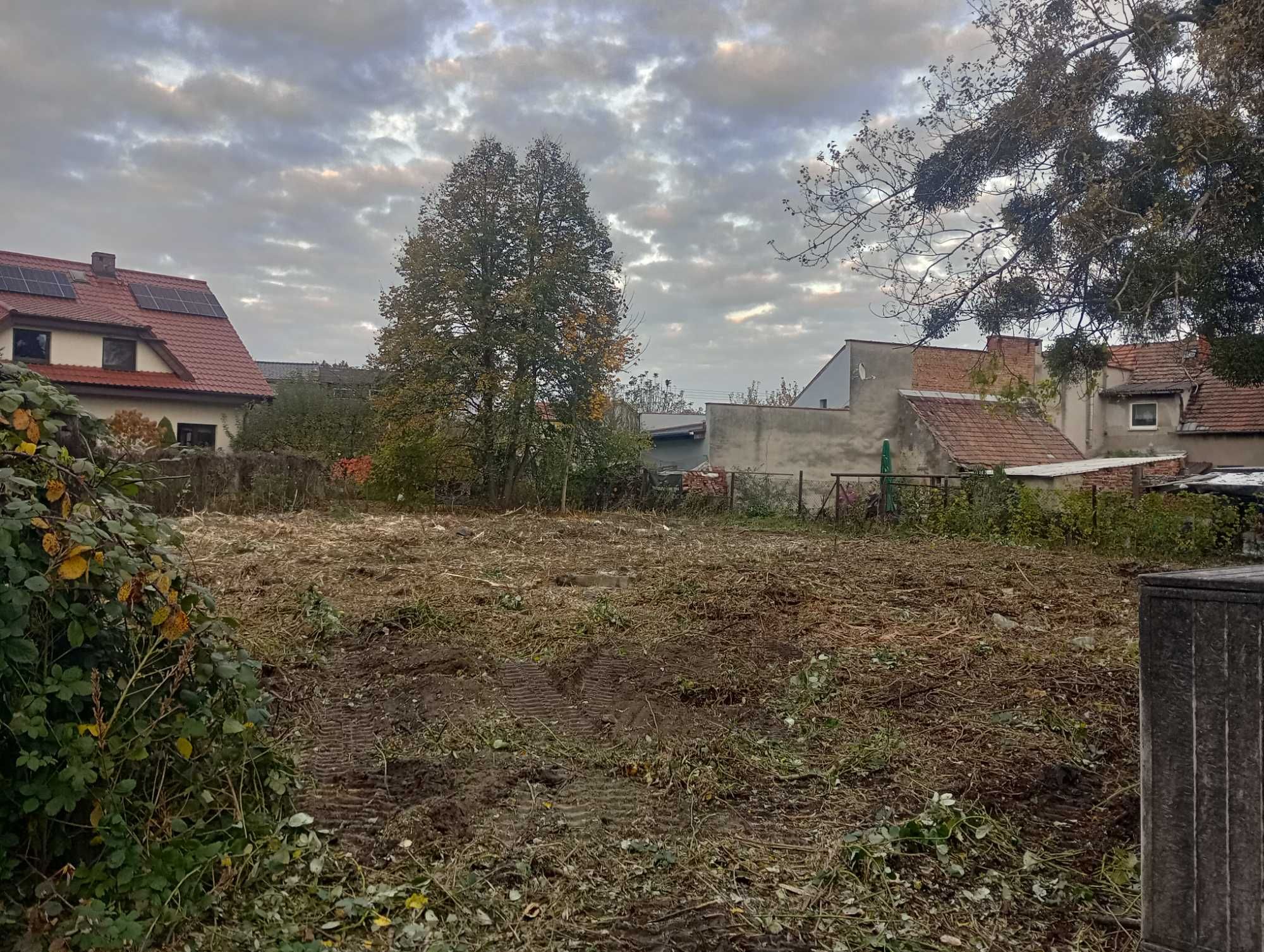 Mulczowanie Terenu Wycinka Drzew Karczowanie