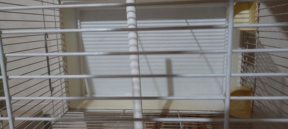 Gaiola passaro grande