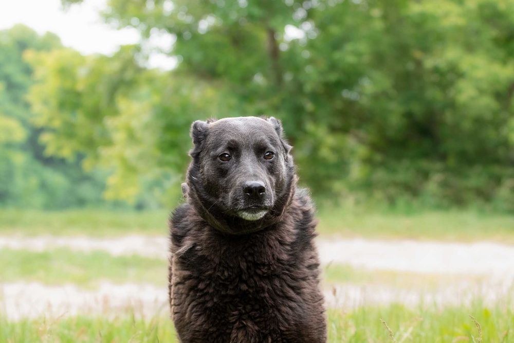 Чернушка шукає родину