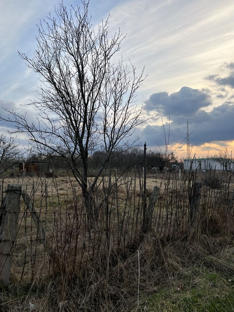 Дачна ділянка в с. Угринів., 3 км від міста