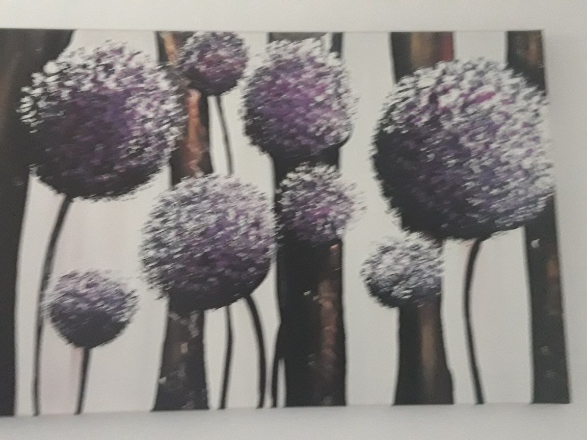 Obraz  wymiary 120x80