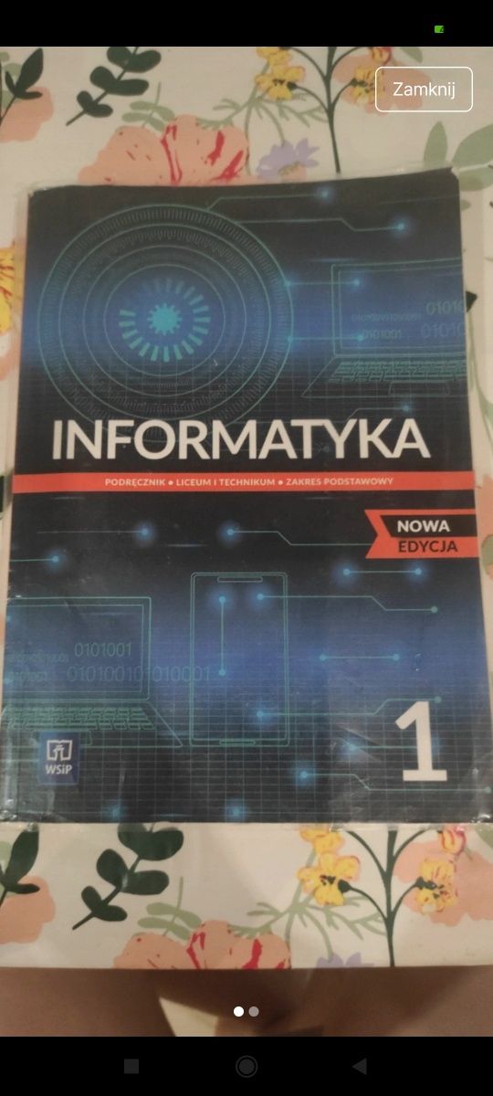Informatyka 1 wsip