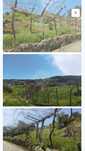 Terreno para construcao