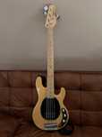 Baixo 5 cordas Sterling sting ray 25