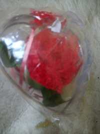 Serce Walentynki, róża