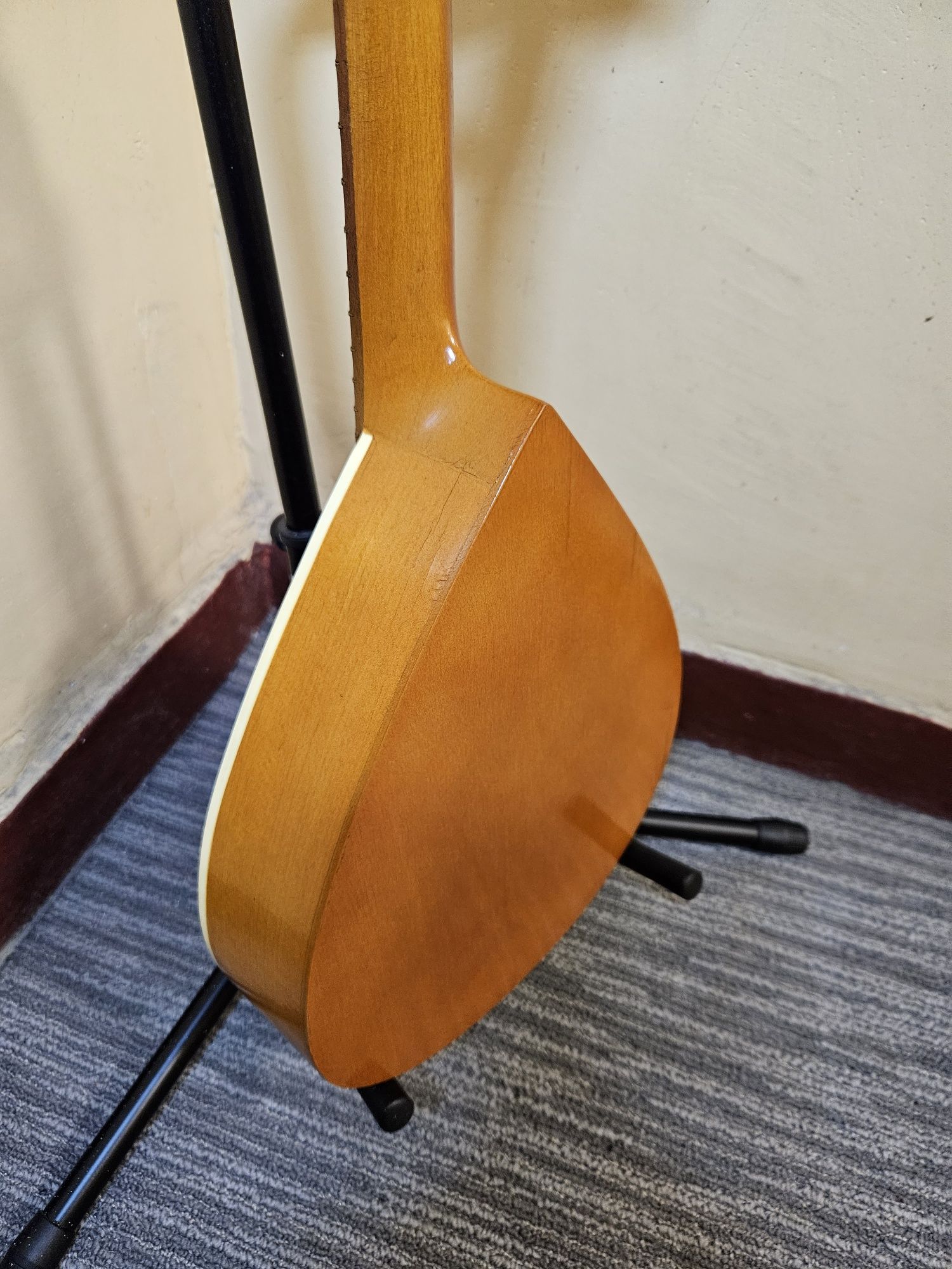 Gitara, Mandolina,Ukulele,Banjo