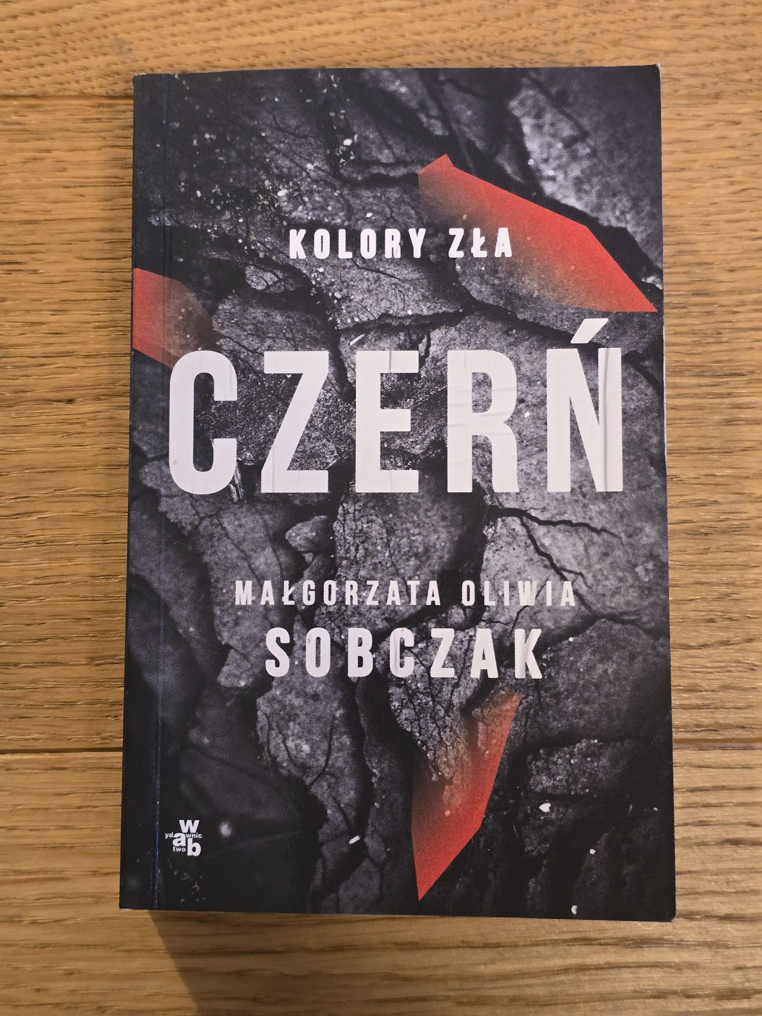 Kolory zła: Czerń - Małgorzata Oliwia Sobczak