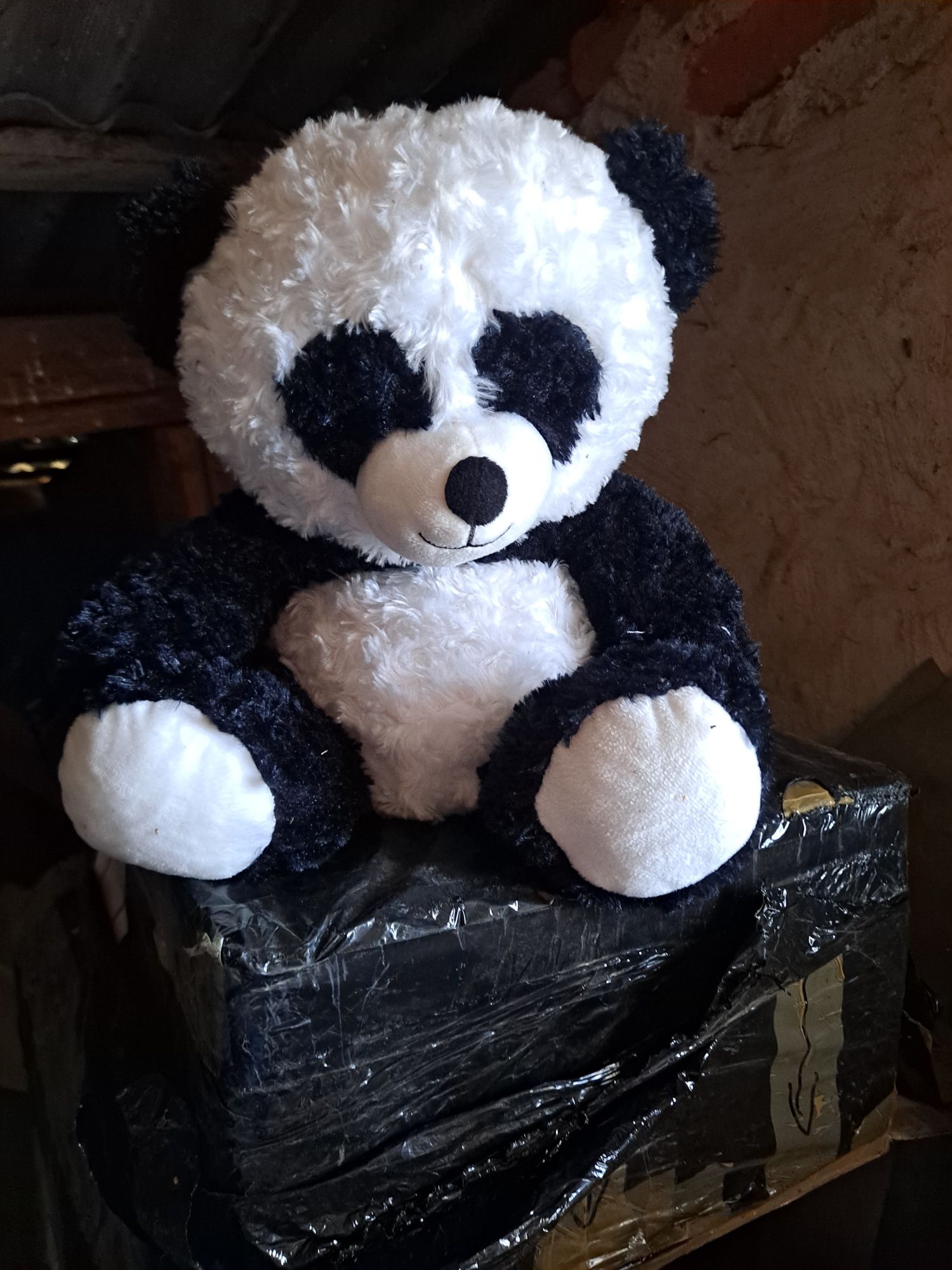 Panda interaktywna