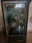 Terrarium 40x40x80