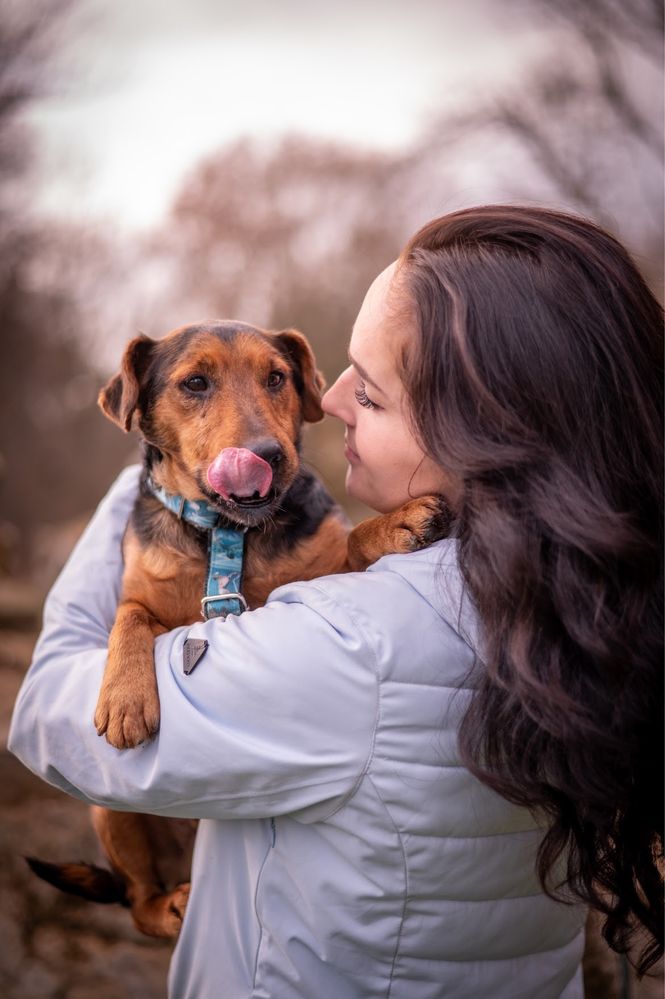 Co za pies! Aktywny terrier szuka domu. W typie psa myśliwskiego.