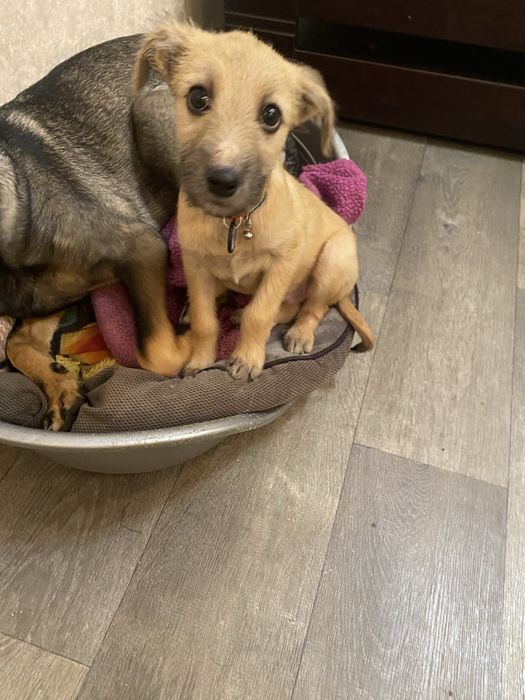 Майк в добрі ручки