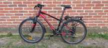 Rower Giant Revel S