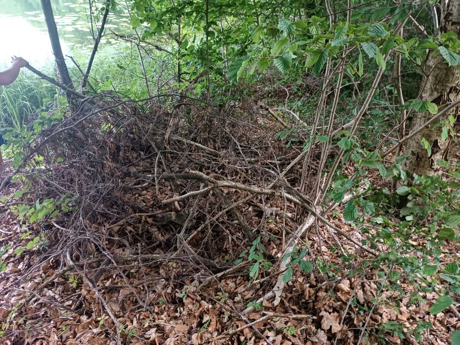 Oddam chrust - odbiór we własnym zakresie