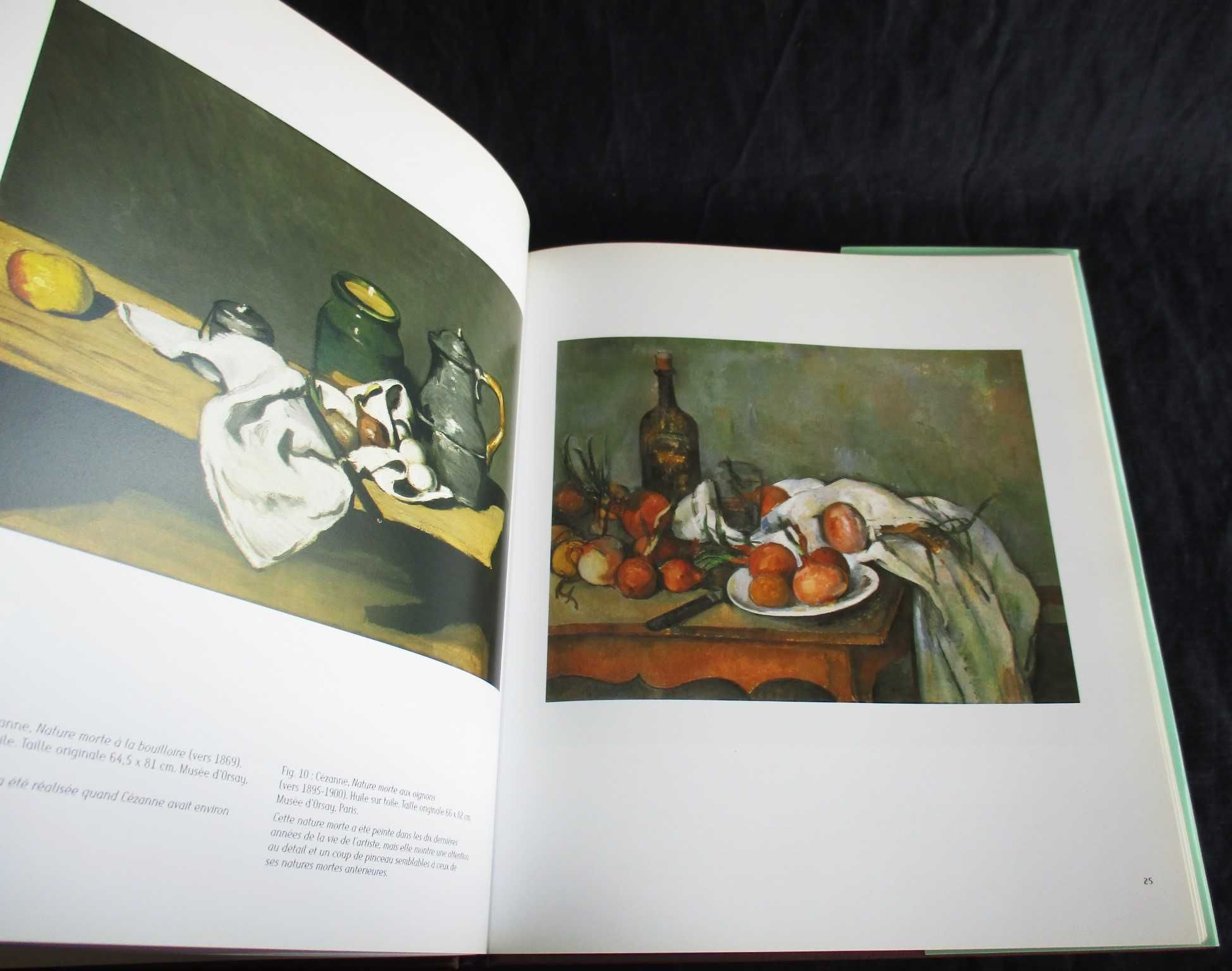 Livro La Vision de Degas Michael F. Marmor Somogy