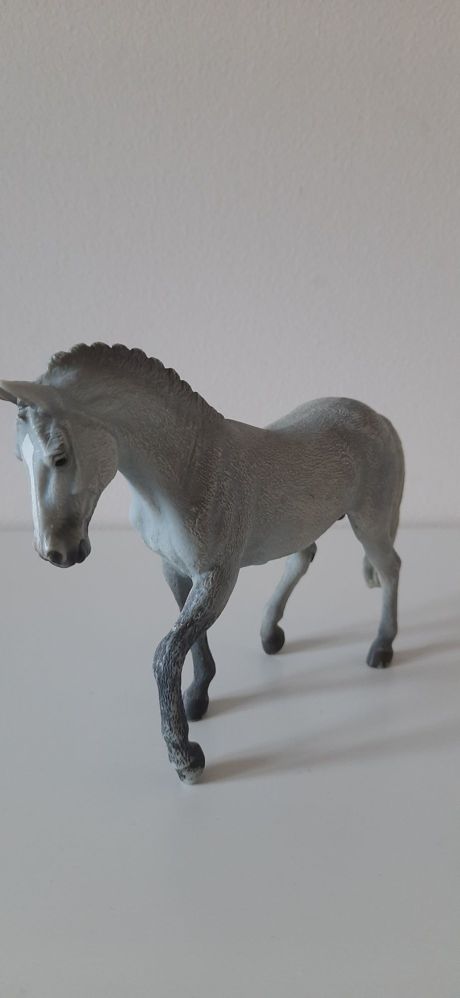 Collecta ogier trakeński, Australian stock horse,american saddlebred