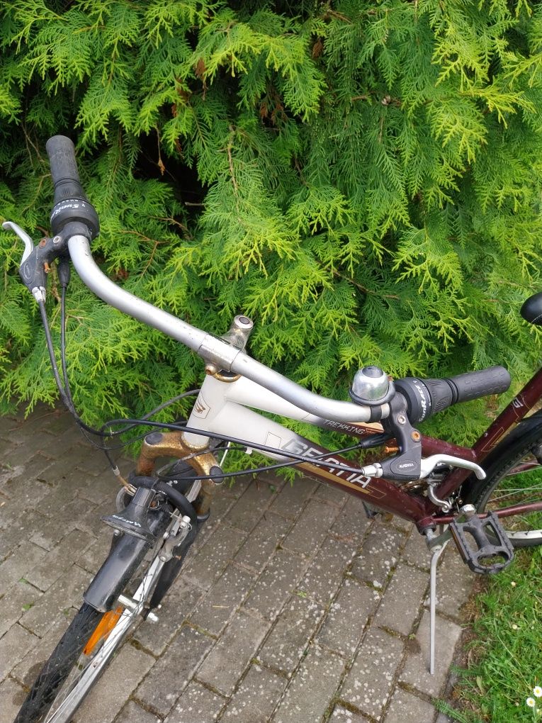 Rower gratia koło 700x38