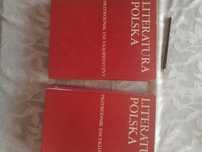 Literatura polska, przewodnik encyklpedyczny