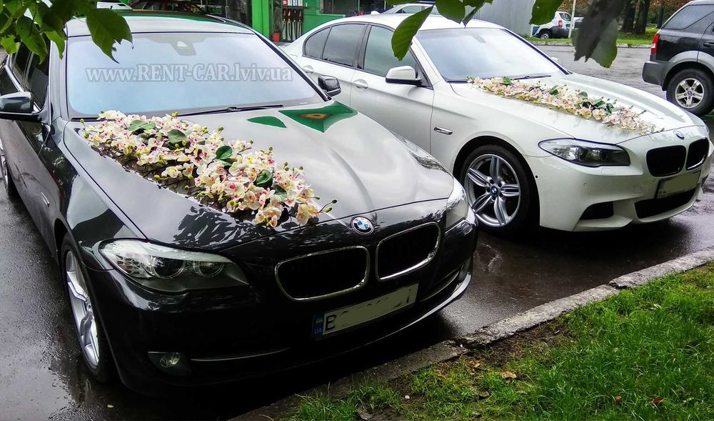 100+ Авто. Оренда авто на весілля у Львові. Весільний кортеж Львів