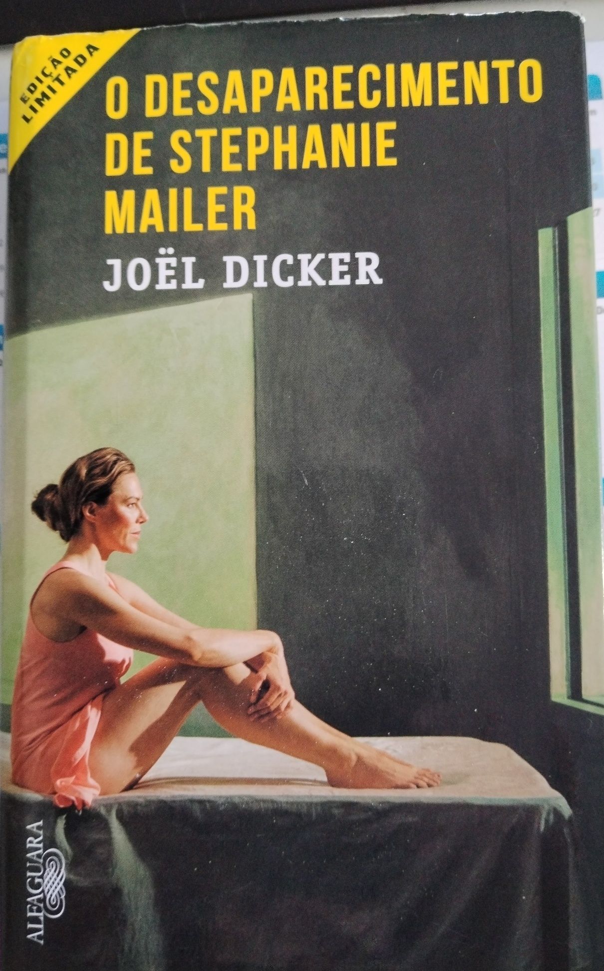 O Desaparecimento de Stephanie Mailer - Joel Dicker (Inclui portes)