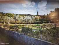 Terreno Rustico
