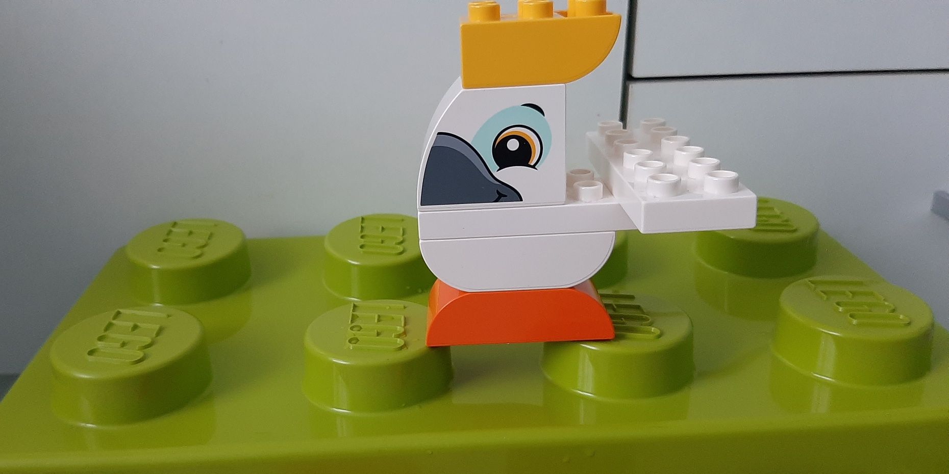 Lego Duplo zwierzątka + skrzynka lego 10863
