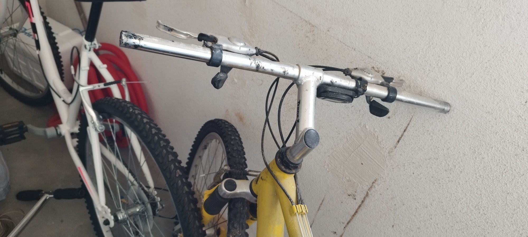 Bicicletas para amantes de desporto