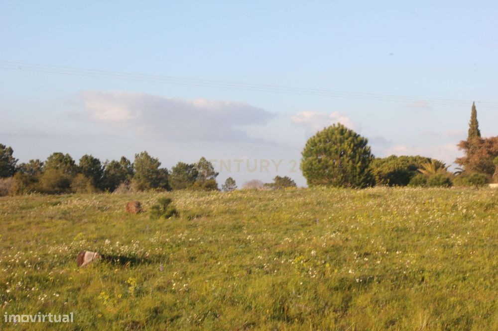 Terreno Rústico nos Salicos, Carvoeiro