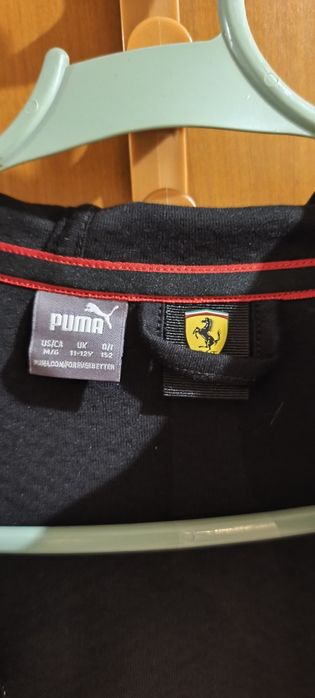 Casaco Ferrari  11/12 anos