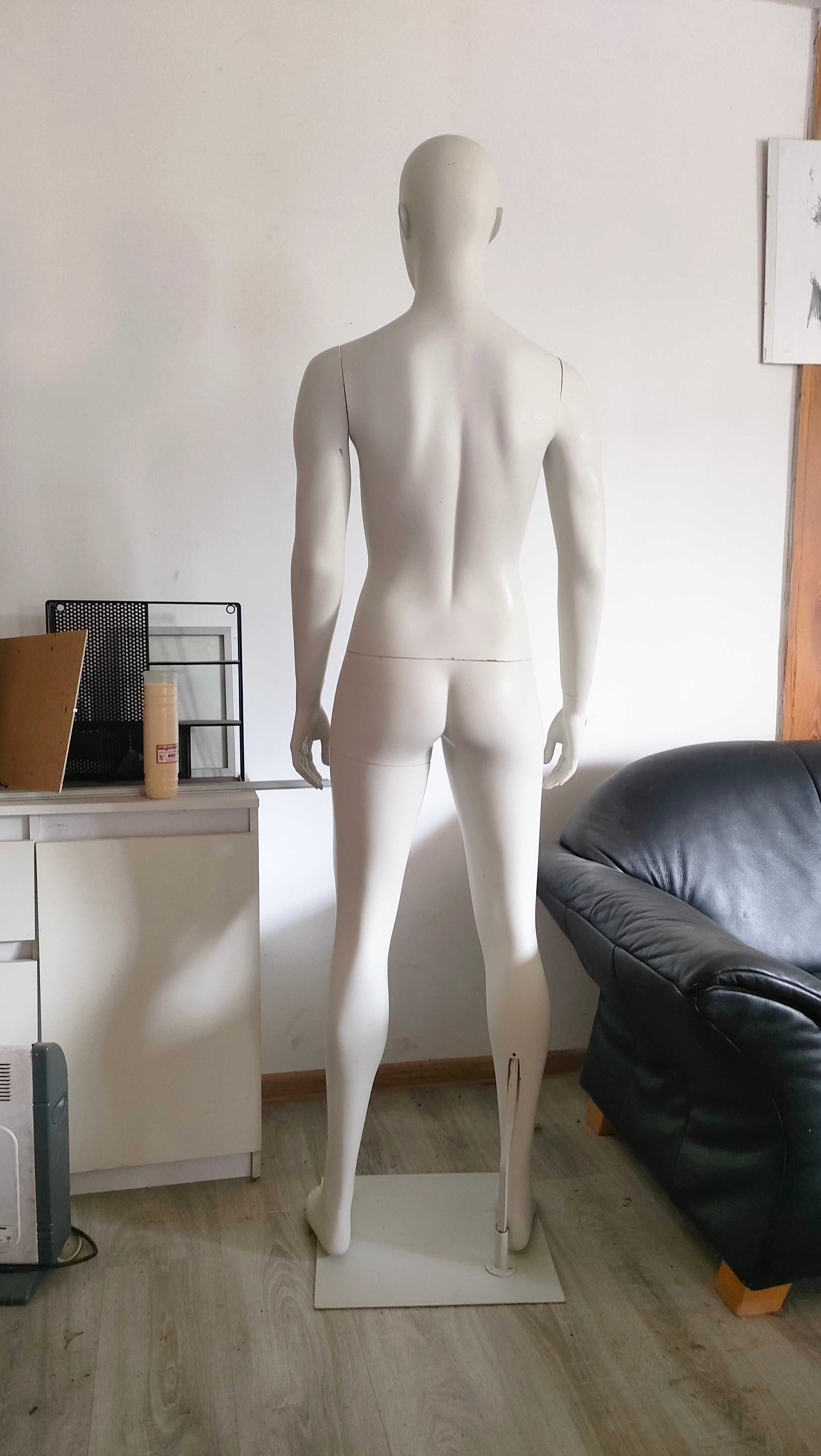 Manekin calopostaciowy kobieta