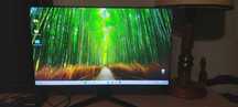Monitor LG27'' 4K Nano IPS, 144Hz, 27GN950