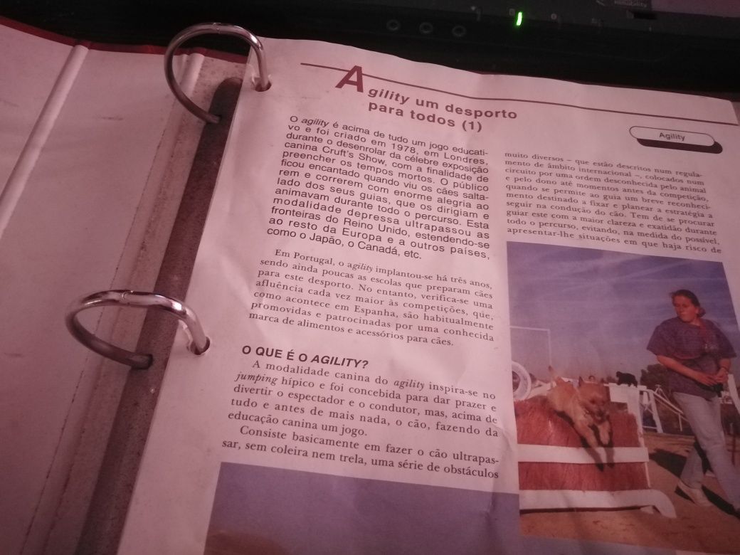 Conhece o seu cão?