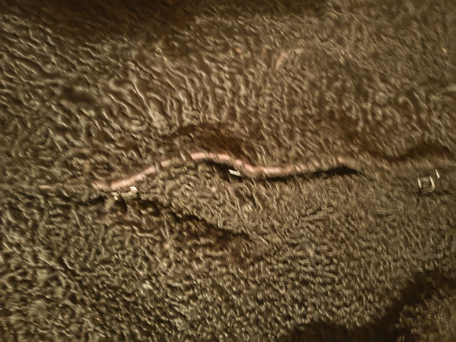 Futro z karakułów nie do noszenia