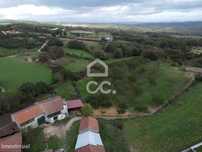 Quinta com 2.246 He. com produção de noz e diversas árvores de fruto