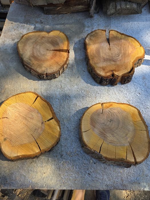 Plastry drewniane dębowe