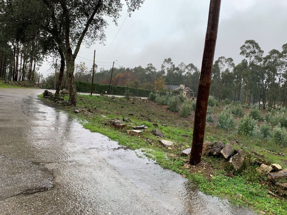 Terreno em Romariz