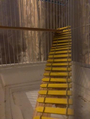Gaiola e cercado para hamsters