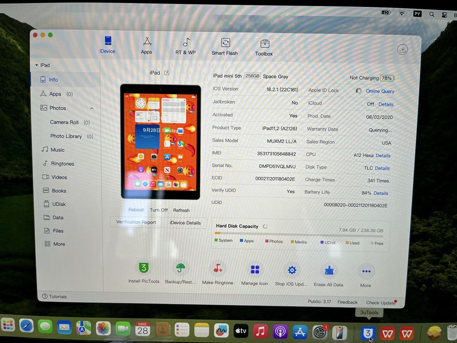 iPad Mini 5 256 GB LTE NeverLock чудовий стан айпад міні 5 256 гб ЛТЕ