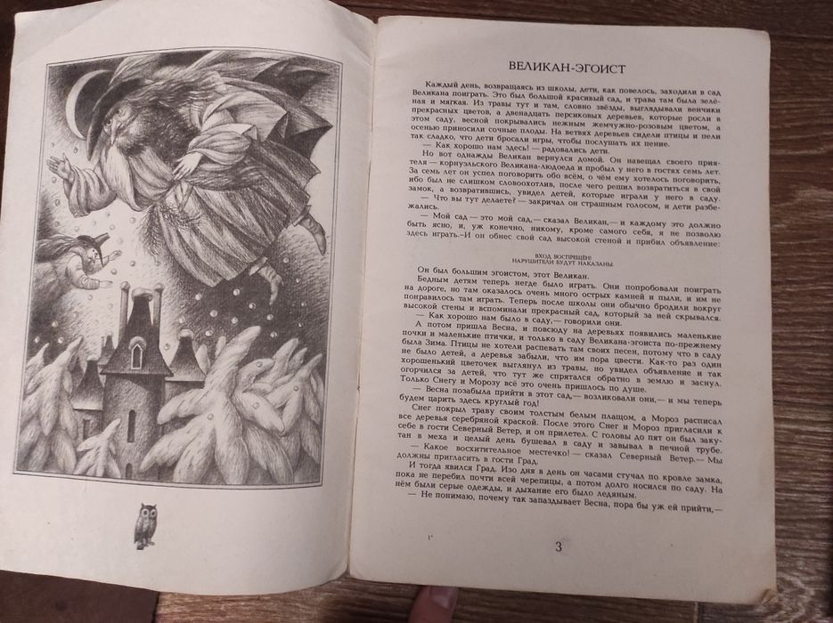 Мальчик звезда Аленький цветочек Волшебная флейта