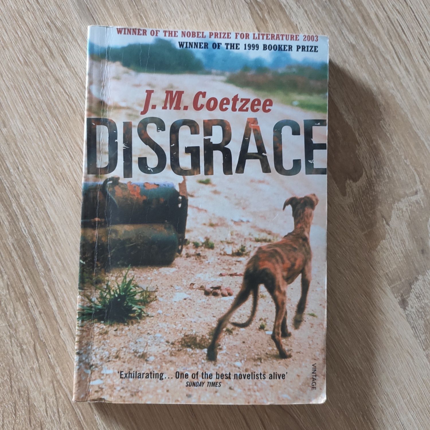 Disgrace J.M. Coetzee