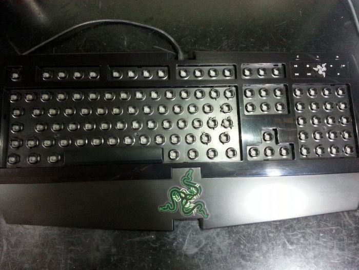 Teclado Raizer Arctosa