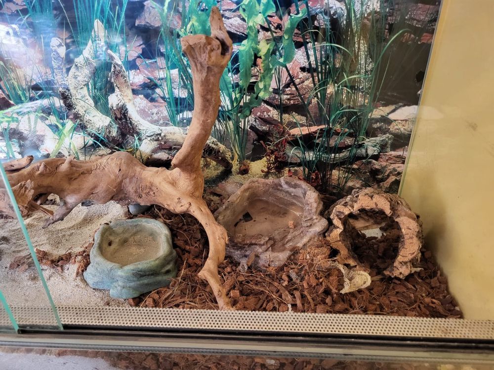 Terrarium z wyposażeniem