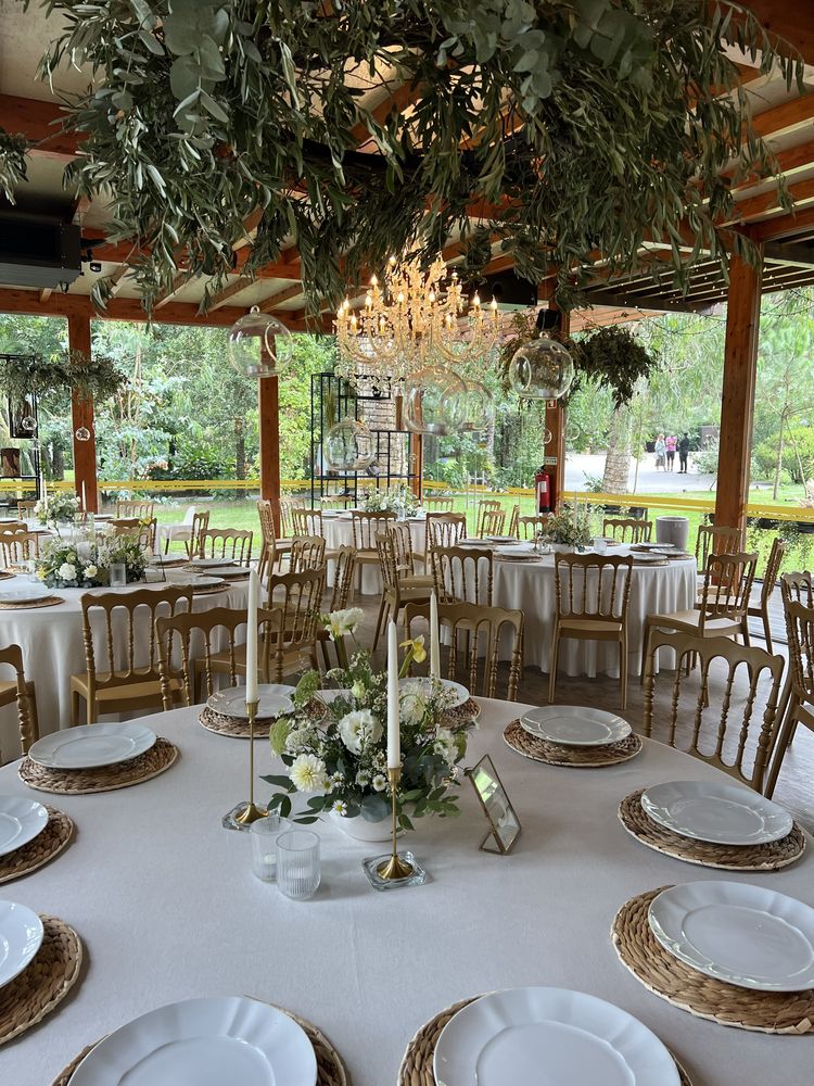 Animaçao para eventos