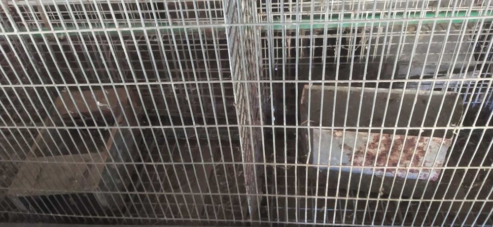 Coelheiras galvanizadas