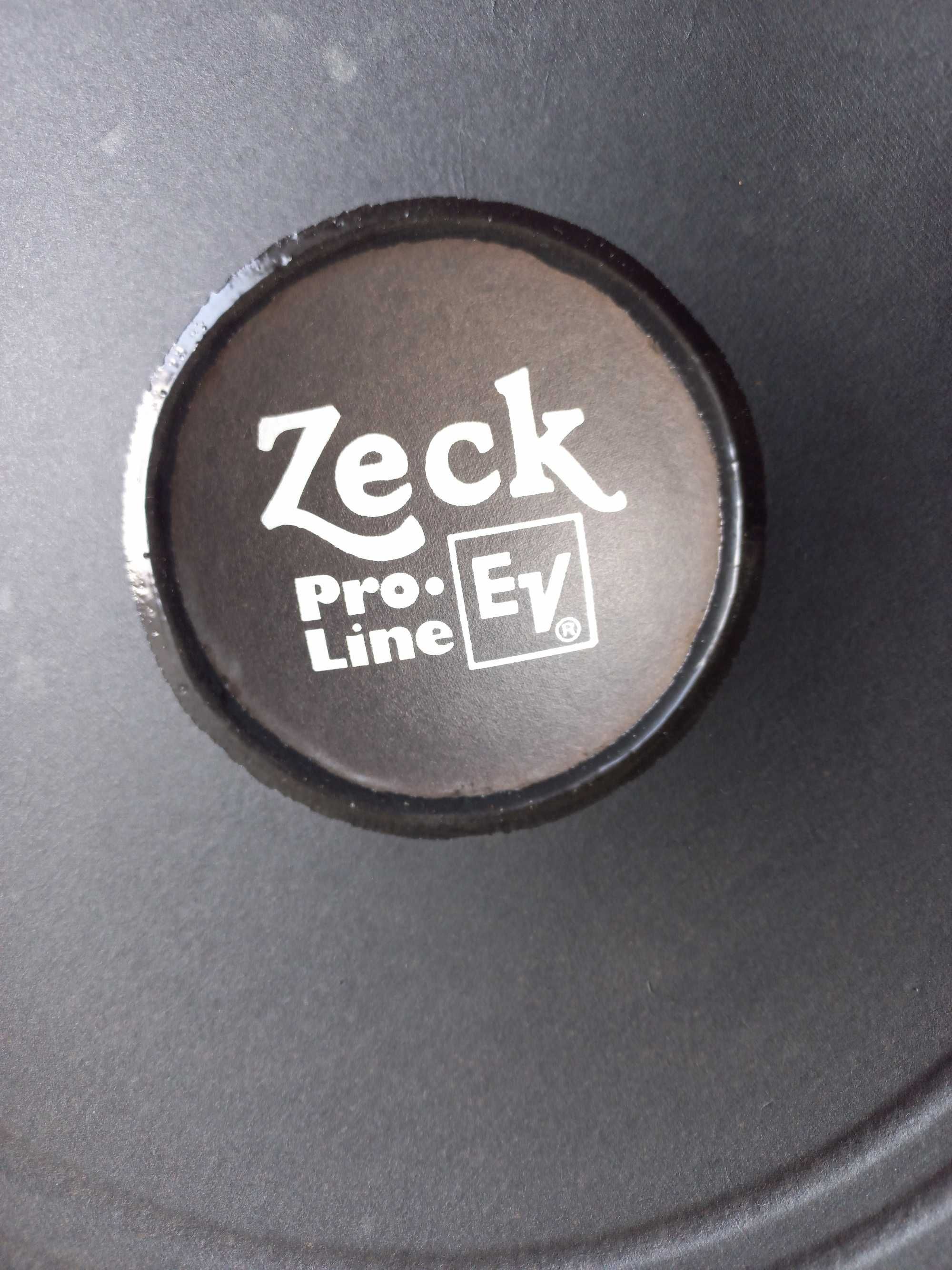 Electro Voice ZECK 15 дюйм PRO-LINE