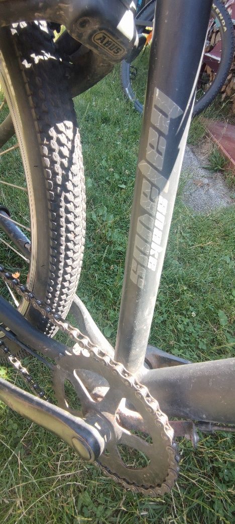Rower Batavus Snake 24