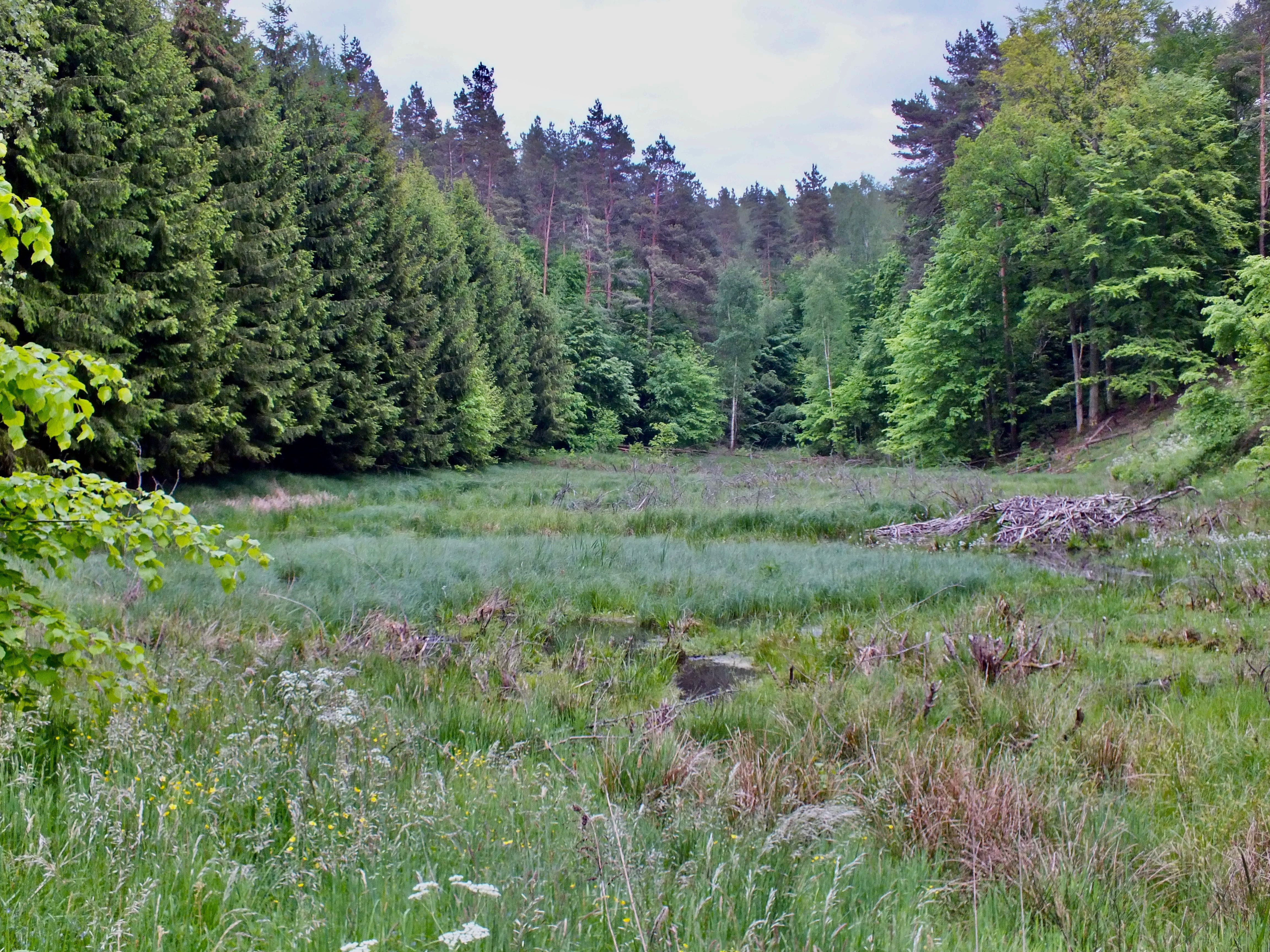 Domek na Mazurach, 6 osób, WOLNA MAJÓWKA